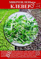 Насіння на мікрозелень «Конюшина» 100 г