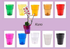 Кашпо для орхідей Коло