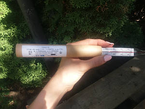 Термометр ТТЖ-М спін.1 технічний прямий (0...100) 240/103