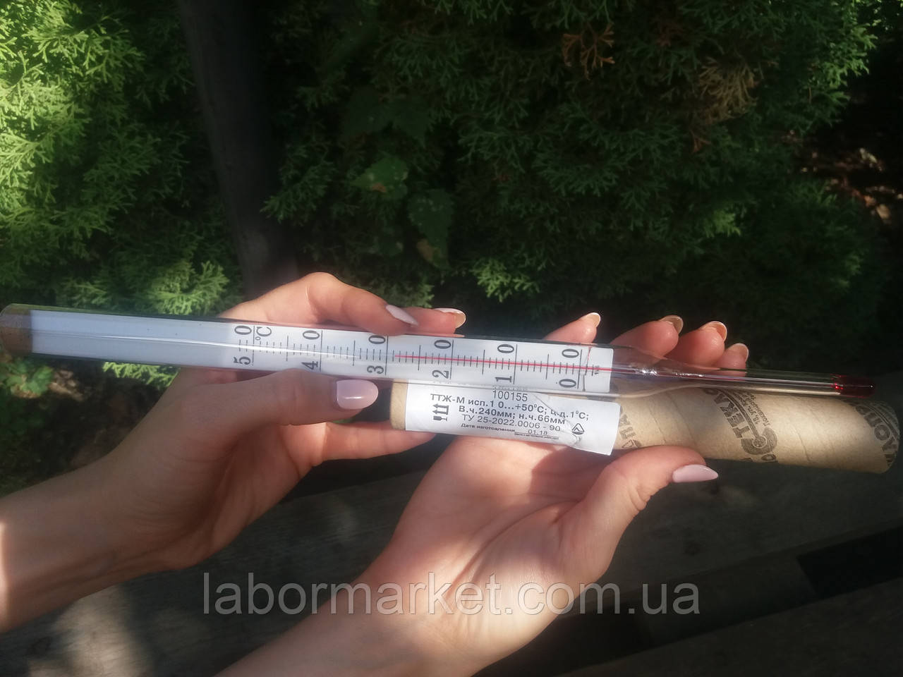 Термометр ТТЖ-М исп.1 технический прямой (0...50) 240/66 (ID#766725057 ...
