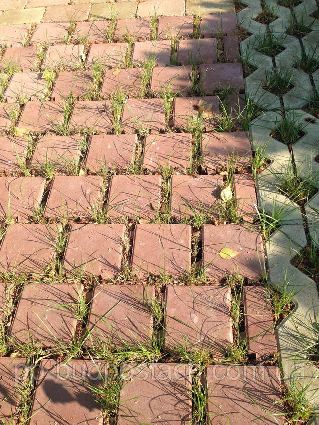 Тротуарная плитка Золотой Мандарин Квадрат малый красный Тротуарная плитка Золотой Мандарин Квадрат малый красный