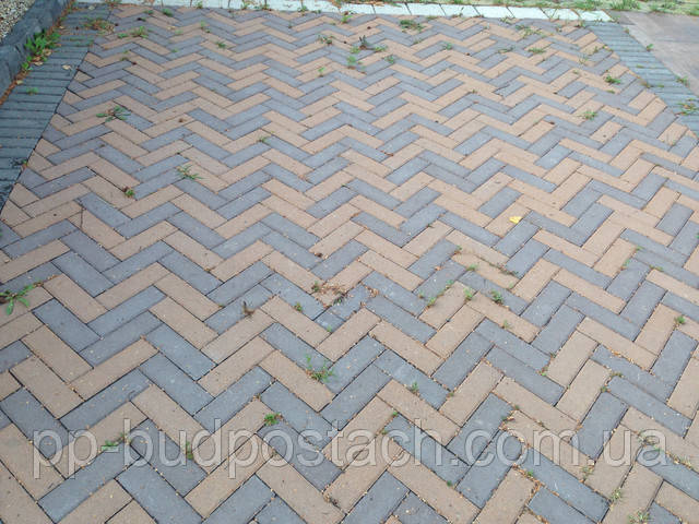 Тротуарная плитка Золотой Мандарин КИРПИЧ УЗКИЙ цена Тротуарная плитка Золотой Мандарин КИРПИЧ УЗКИЙ цена