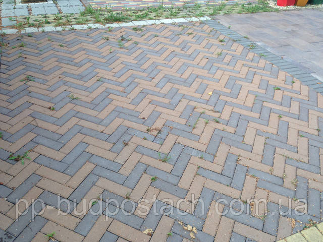 Тротуарная плитка Золотой Мандарин КИРПИЧ УЗКИЙ Тротуарная плитка Золотой Мандарин КИРПИЧ УЗКИЙ