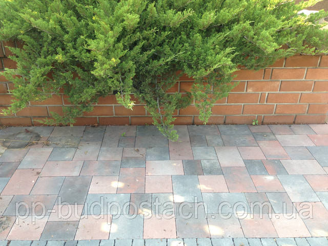 Тротуарная плитка Золотой Мандарин ПЛАЦ сиена купить Тротуарная плитка Золотой Мандарин ПЛАЦ сиена купить