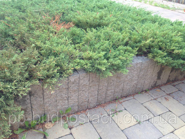 Тротуарная плитка Колотый столбик Золотой Мандарин серый цены Тротуарная плитка Колотый столбик Золотой Мандарин серый цены