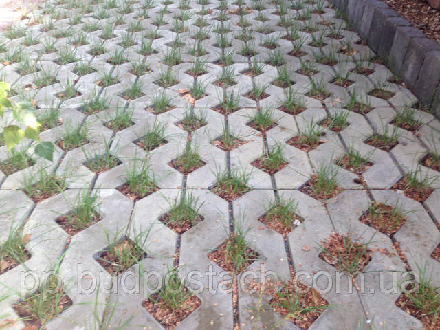 Тротуарная плитка Парковочная Решетка Золотой Мандарин Тротуарная плитка Парковочная Решетка Золотой Мандарин