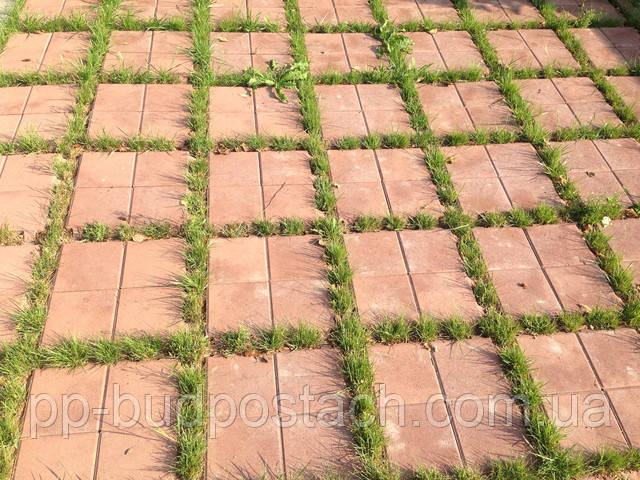 Тротуарная плитка Плита (300Х300) Золотой Мандарин Тротуарная плитка Плита (300Х300) Золотой Мандарин