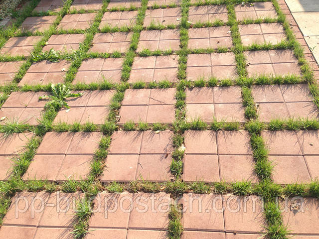 Тротуарная плитка Плита (300Х300) Тротуарная плитка Плита (300Х300)