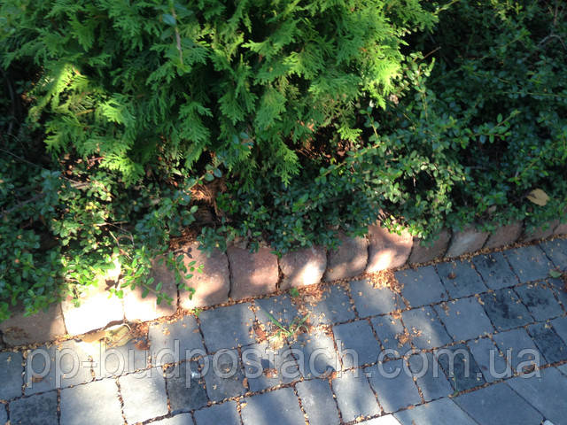 Тротуарная плитка столбик квадратный Золотой Мандарин Тротуарная плитка столбик квадратный Золотой Мандарин