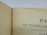 Вернер О. Бджола, її будова та внутрішні органи у картинах із коротким текстом Отто Вернера (б/у)., фото 6