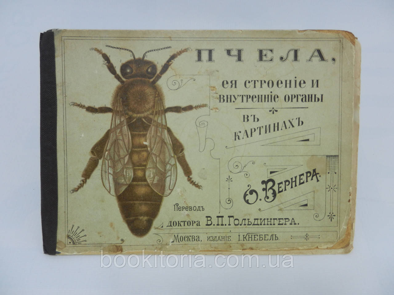 Вернер О. Бджола, її будова та внутрішні органи у картинах із коротким текстом Отто Вернера (б/у).