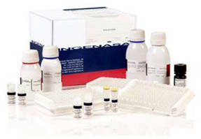 Ingezim Influenza A. Тест-система для діагностики специфічних антитіл до вірусу Influenza методом ІФА