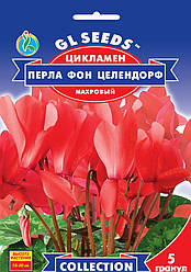 Насіння Цикламен "Перла Фон Целендор" 5 шт., GL SEEDS