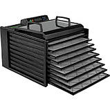 Дегідратор Excalibur 4948CDFB — професійна сушарка для фруктів, овочів, м'яса та пастили на 9 лотків, фото 5