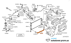 Шланг (патрубок) охолодження радіатора нижній Nissan Leaf ZE0 (10-12) 21503-3NA0A, фото 4