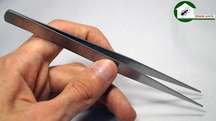 Пінцет прямий 15 см