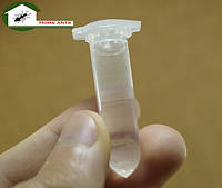 Антипобіг масляний