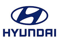 Хром на HYUNDAI