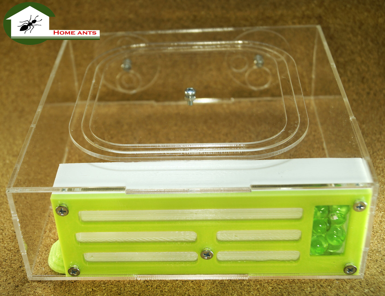 Мурашина ферма "Таун", фото 1