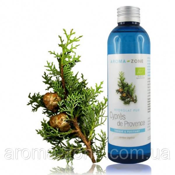 Гідролат Кіпариса (Cupressus sempervirens L.) BIO  , 200 мл.