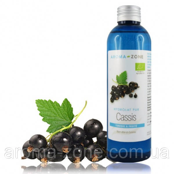 Гідролат Смородини чорної (Ribes nigrum) BIO, 200 мл.
