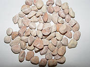 Крихітка мармурова, 0,6х1,2 см біло-рожева