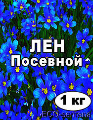 Насіння Льон олійне "Кучеряш", світлобежевий, від 1 кг на розвіс