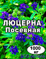 Семена Люцерна / магниченная / опт от 1000 кг