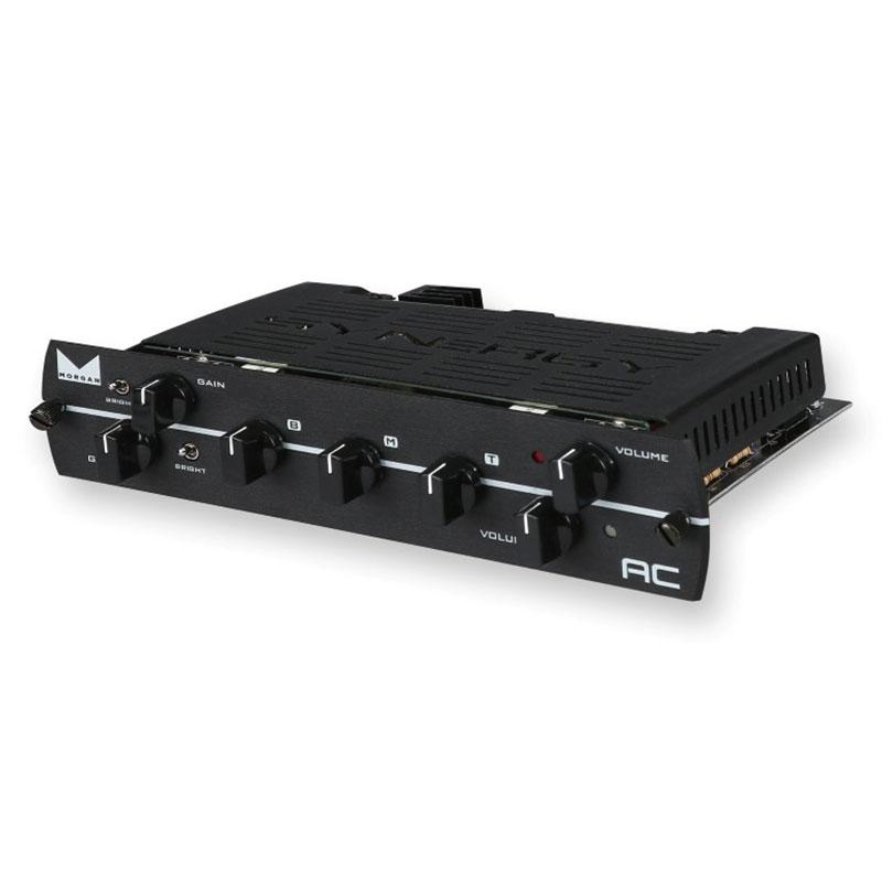 Ламповий преамп-модуль SYNERGY Morgan AC Preamp Module, фото 1