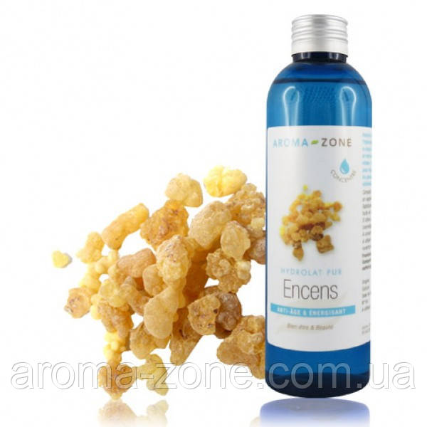 Гідролат Ладана (Boswellia carterii) BIO, 200 мл.
