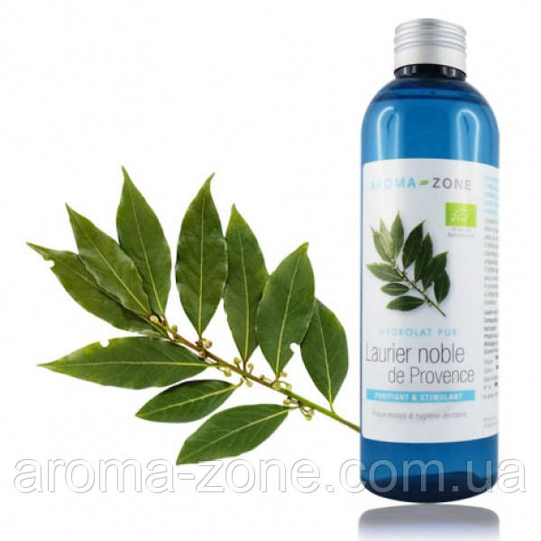 Гідролат Лавра благородного (Laurus nobilis) BIO, 200 мл.