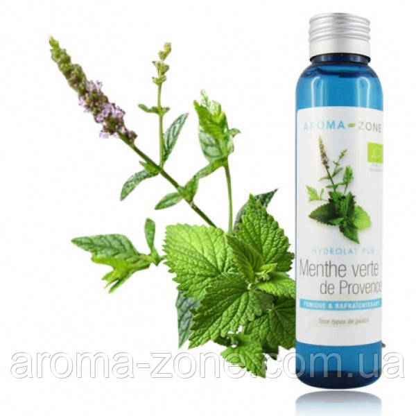 Гідролат М'яти Прованс (Mentha spicata) BIO, 100 мл.