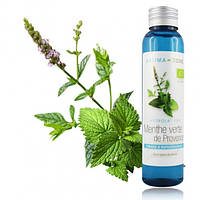 Гидролат Мяты Прованс ( Mentha spicata) BIO , 100 мл.