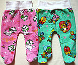 Повзуни на резинці начіс 05.01, фото 6