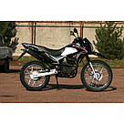 Мотоцикл SkyBike STATUS-250 B, фото 7