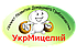 Мицелий