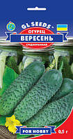Огірок Вересень