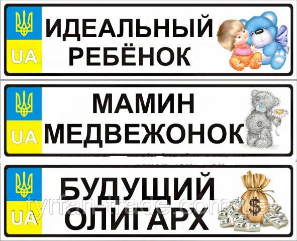 Именные металические номера на детский транспорт (Индивидуальный) Ася - фото 7 - id-p769930264