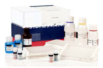 Тест-система для серодіагн. специфічних антитіл IgM до хвороби західного Нілу в сироватці крові методом ІФА