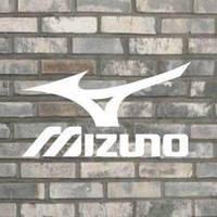 Інтернет-магазин TDSPORT.COM.UA (Mizuno OK)