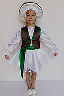 Карнавальний костюм Боровик (дівчинка) 98-122 см