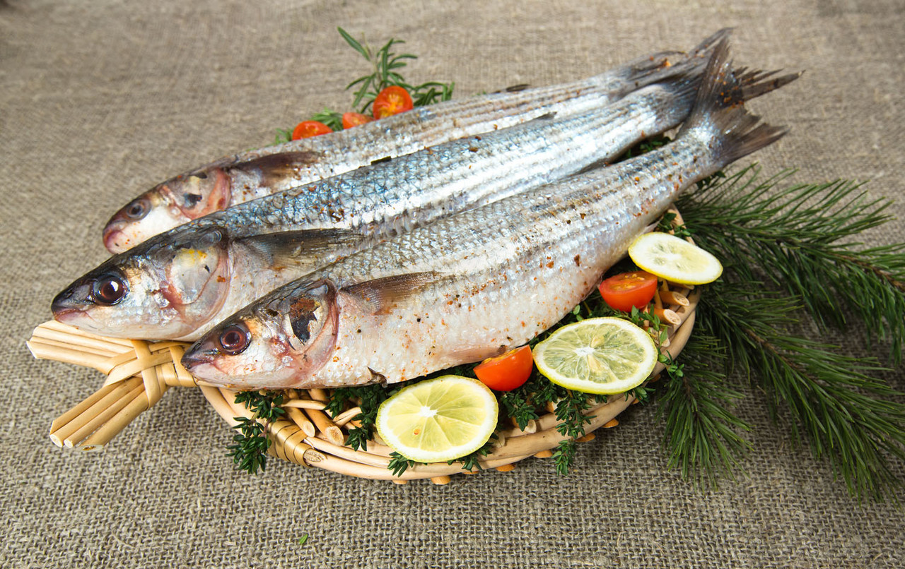 Чорноморська Кефаль добірна, свіжеморожена, 500-800гр/шт (2-3шт\кг) - фото 1 - id-p624803952