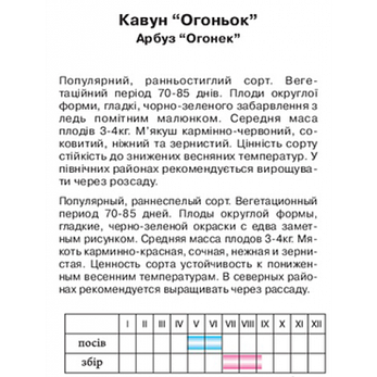Кавун "Вогник", 2г, фото 2