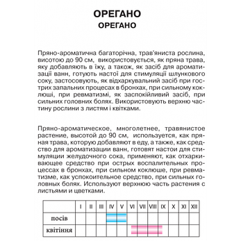 Орегано, фото 2