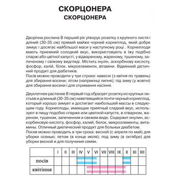 Скорцонера, фото 2