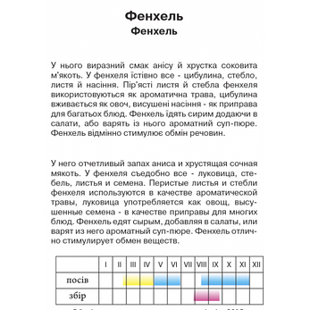 Фенхель, 0,5 г, фото 2