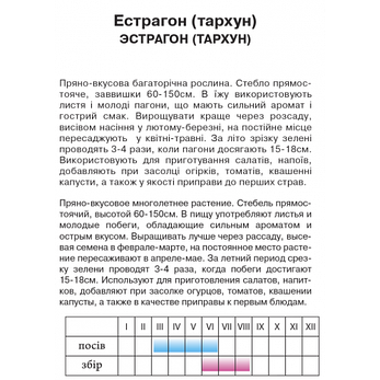 Естрагон (тархун), 0,1 г, фото 2