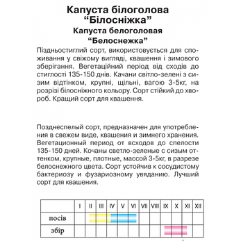 Капуста білоголова "Білосніжка", вагова, 10г, фото 2