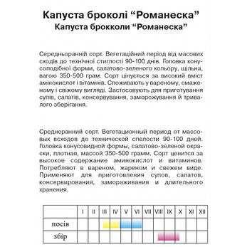 Капуста броколі "Романеска", фото 2