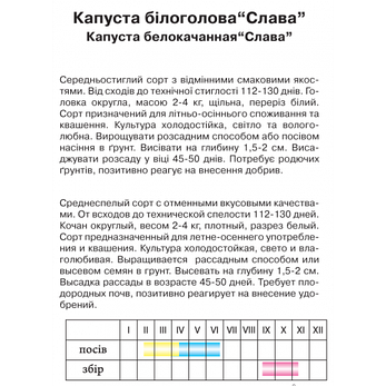 Капуста білокачанна "Слава", вагова, 10г, фото 2